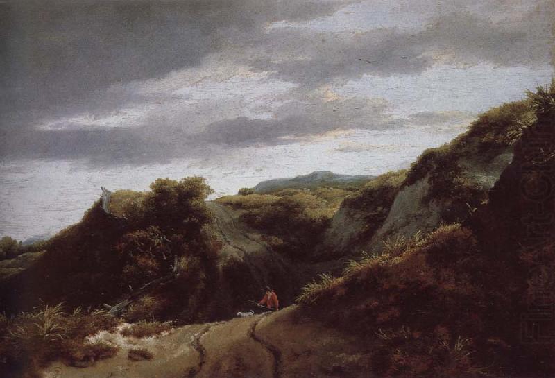 Jacob van Ruisdael Dunes china oil painting image